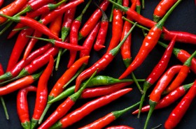 Chili-pepper-1