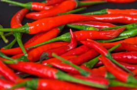 Chili-pepper-2