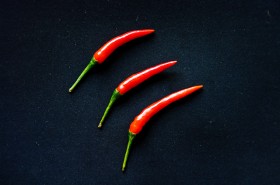 Chili-pepper-4