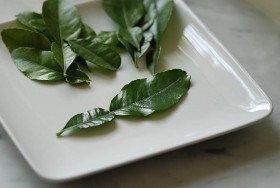kaffir-lime-1 (1)