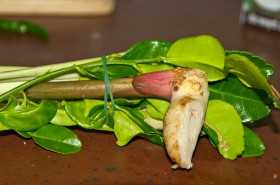 kaffir-lime-1