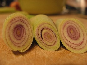 lemongrass (1)