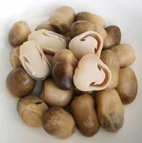 straw-mushroom