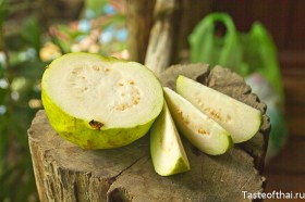 Guava-2