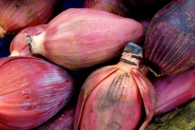 Banana Blossom
