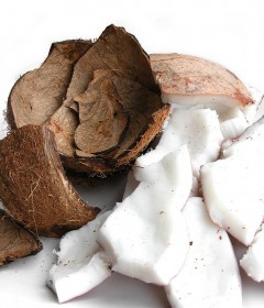 coconut-milk (2)