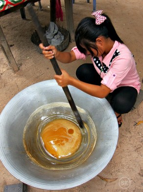 palm-sugar (1)