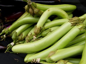 thai-eggplants (10)
