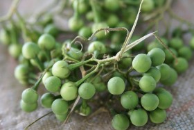 thai-eggplants (11)