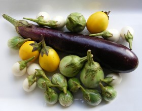 thai-eggplants (5)