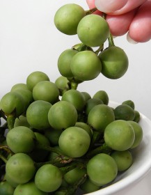 thai-eggplants (7)