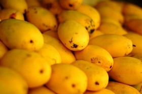 thai-mango (1)