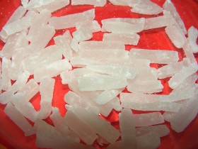 winter_melon-1