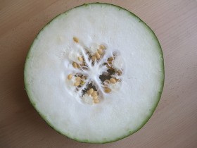 winter_melon-3