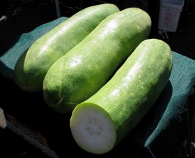 winter_melon-4