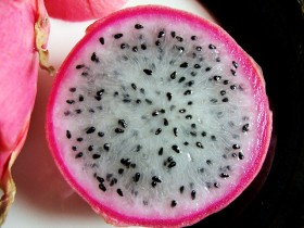 dragonfruit (1)