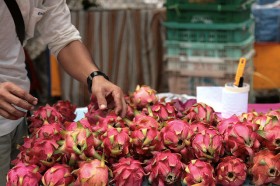 dragonfruit (3)