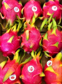 dragonfruit (5)