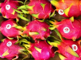 dragonfruit (5)