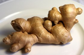 ginger (3)