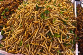 Insects-3