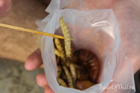 Insects-5