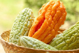 bitter-melon (2)
