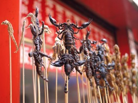 insects-7