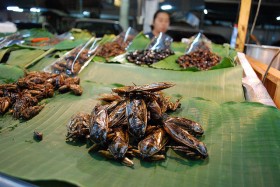 insects-9