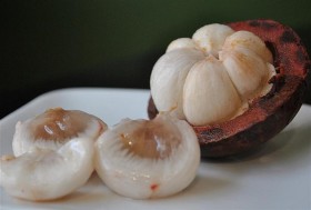 mangosteen (4)