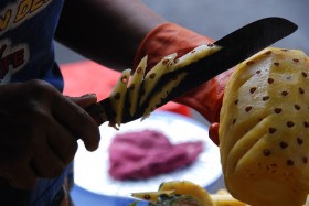 pineapple (1)
