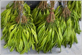 stinky-beans (6)