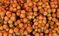 Лангсат (Лонконг, ลองกอง) 