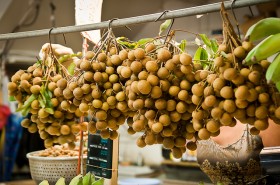 Longan