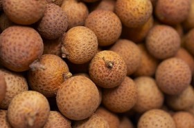 longan (2)
