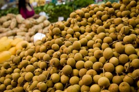 longan (3)