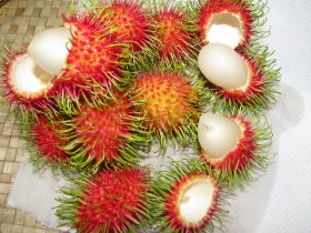 rambutan (1)
