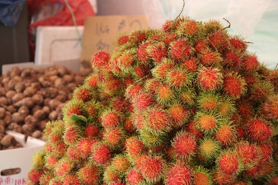 rambutan (3)