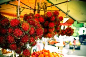 rambutan (4)