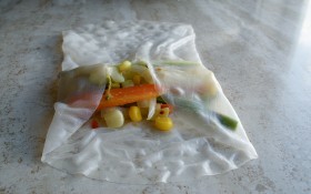 spring-rolls (7)