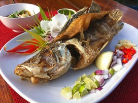 barramundi (1)