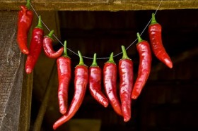 drying-chili-peppers
