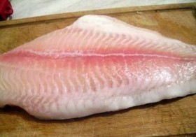 pangasius (2)