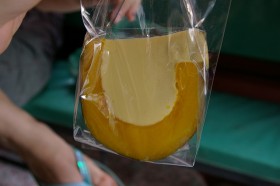 pumpkin-custard (4)