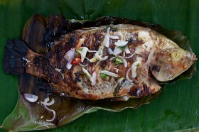 tilapia (10)