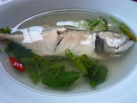 pla-thu (1)