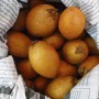 Саподилла (Ламут, ละมุด) 