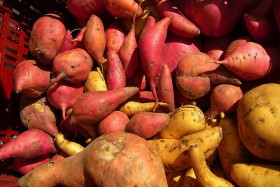 batat-sweet-potato (2)