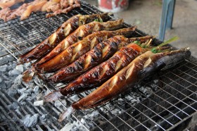 crispy-catfish-salad (2)