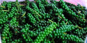 green-peppercorn (3)